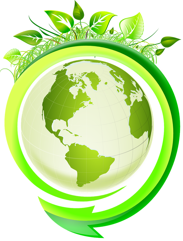 Why Ecosocialism?